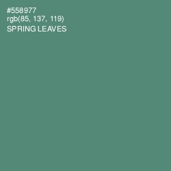 #558977 - Spring Leaves Color Image